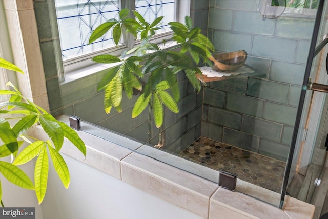 1104 Century Oak Dr, Fredericksburg, VA 22401 - detailed view of a tile shower