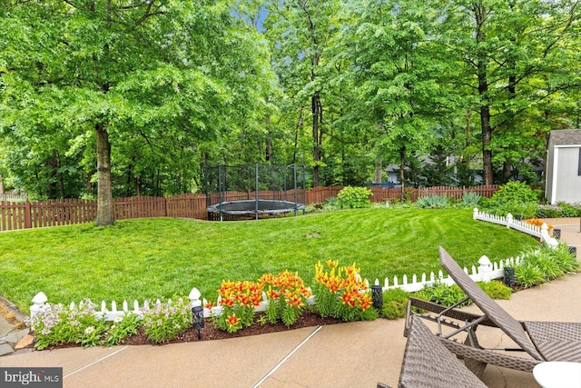1104 Century Oak Dr, Fredericksburg, VA 22401 - view of yard with a trampoline and a patio