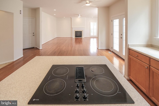 1421 Pickett Ct, Front Royal, VA 22630 - unfurnished living room featuring light wood-type flooring, ceiling fan, a fireplace, and recessed lighting