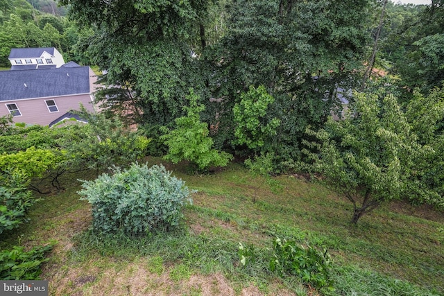 1421 Pickett Ct, Front Royal, VA 22630 - view of yard