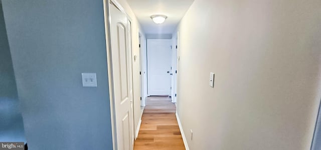 3 New Coach Ln, Willingboro, NJ 08046 - hallway with light wood-style floors and baseboards