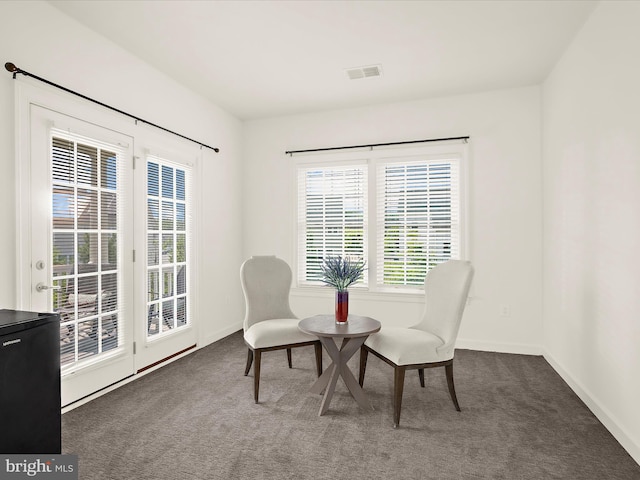 13801 Racetrack Field Ct, Bowie, MD 20720 - sitting room with carpet floors and baseboards