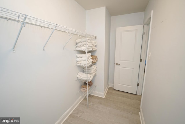 36063 Auburn Way, Millsboro, DE 19966 - spacious closet featuring light wood-style floors