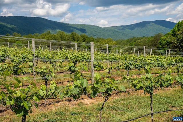5190 Sugar Ridge Rd, Crozet, VA 22932 - view of mountain background