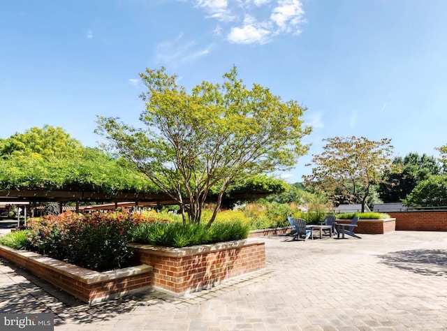 111 Hamlet Hill Rd Unit 707, Baltimore, MD 21210 - view of patio / terrace