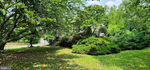 30120 Dudley Rd, Mechanicsville, MD 20659 - view of green lawn with a garage