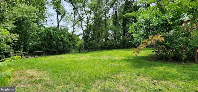 30120 Dudley Rd, Mechanicsville, MD 20659 - view of yard