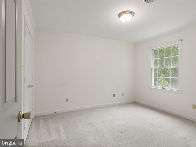 13124 S River Rd, Sumerduck, VA 22742 - empty room featuring carpet flooring and crown molding