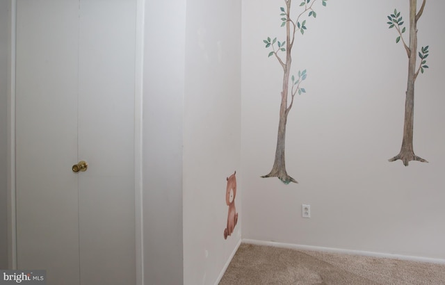 40 Ashley Dr, New Castle, DE 19720 - detailed view of carpet and baseboards