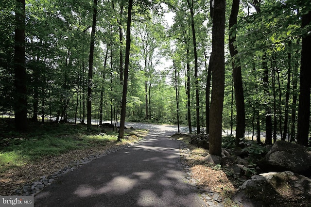 2415 Schaffer Rd, Pottstown, PA 19464 - view of street with a view of trees