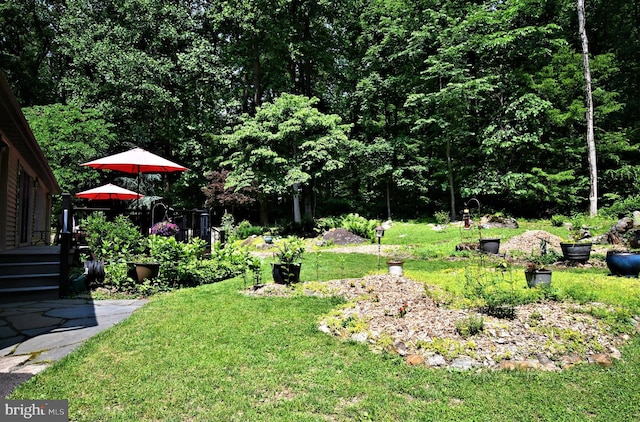 2415 Schaffer Rd, Pottstown, PA 19464 - view of green lawn with a wooden deck