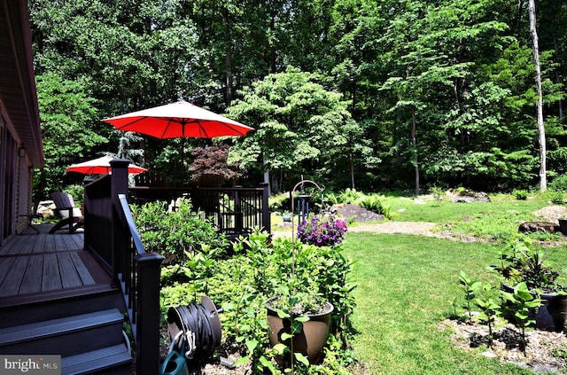2415 Schaffer Rd, Pottstown, PA 19464 - view of green lawn with a deck
