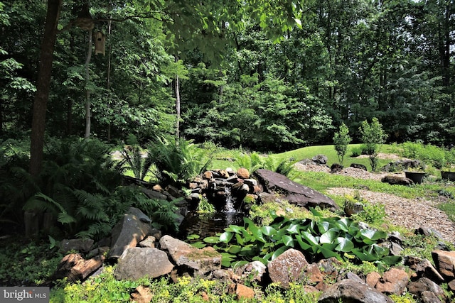 2415 Schaffer Rd, Pottstown, PA 19464 - view of local wilderness