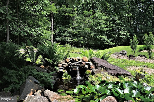 2415 Schaffer Rd, Pottstown, PA 19464 - view of local wilderness with a small pond