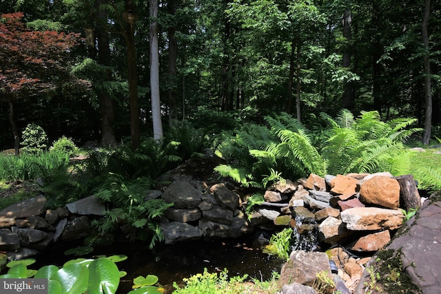 2415 Schaffer Rd, Pottstown, PA 19464 - view of nature with a garden pond