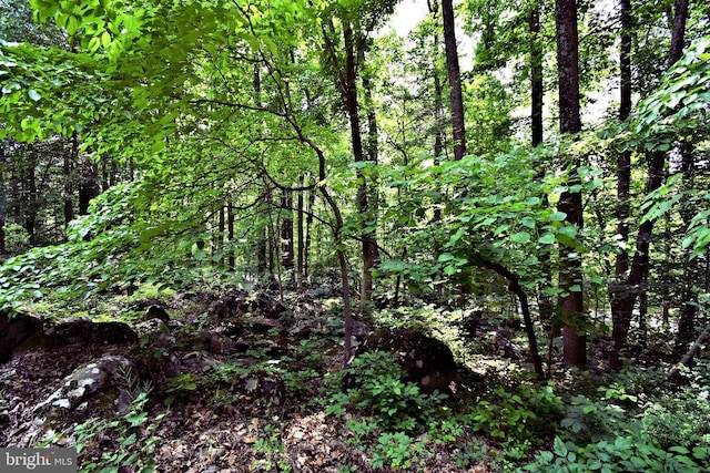 2415 Schaffer Rd, Pottstown, PA 19464 - view of woods