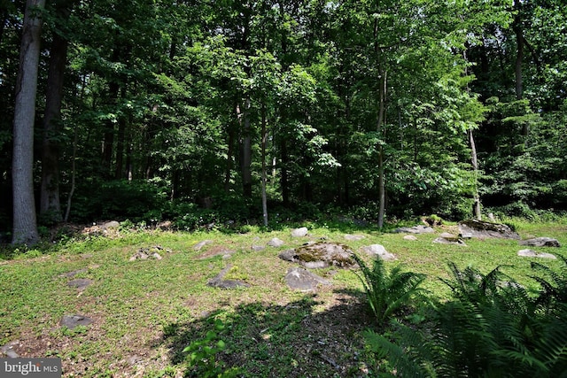 2415 Schaffer Rd, Pottstown, PA 19464 - view of yard with a forest view
