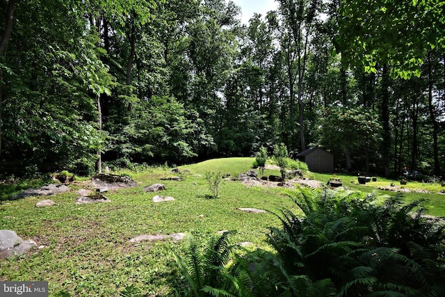 2415 Schaffer Rd, Pottstown, PA 19464 - view of grassy yard with a view of trees
