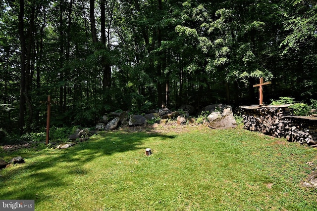 2415 Schaffer Rd, Pottstown, PA 19464 - view of grassy yard