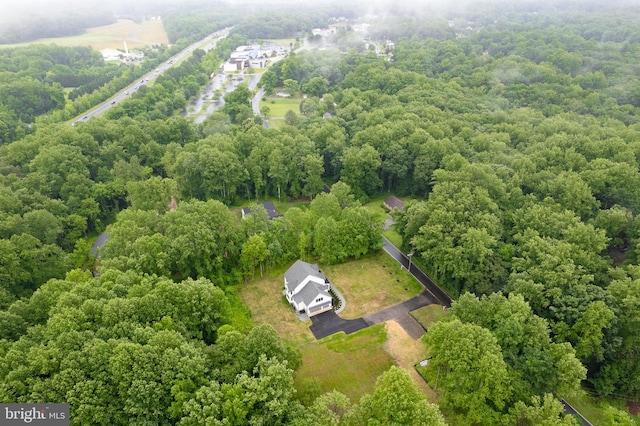 934 Chesterfield Rd, Annapolis, MD 21401 - aerial view of a forest