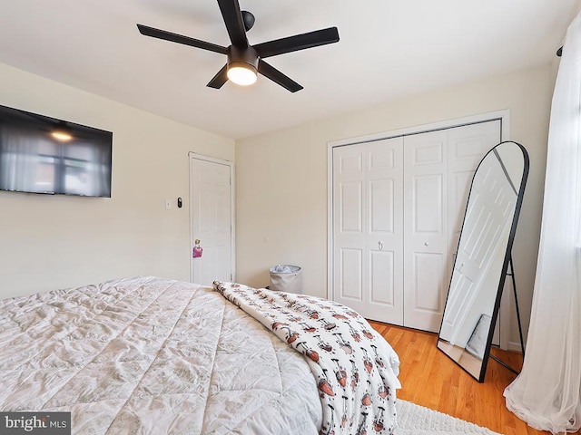 3721 S Hereford Ln, Philadelphia, PA 19114 - bedroom with a closet, a ceiling fan, and light wood-type flooring