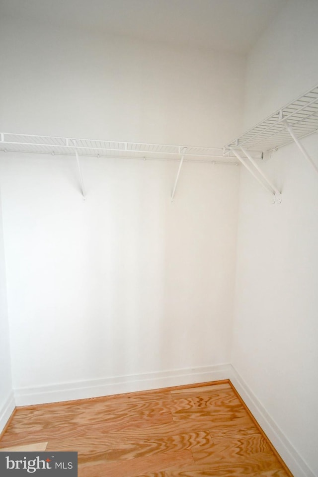 4490 Market Commons Dr Unit 302, Fairfax, VA 22033 - view of walk in closet