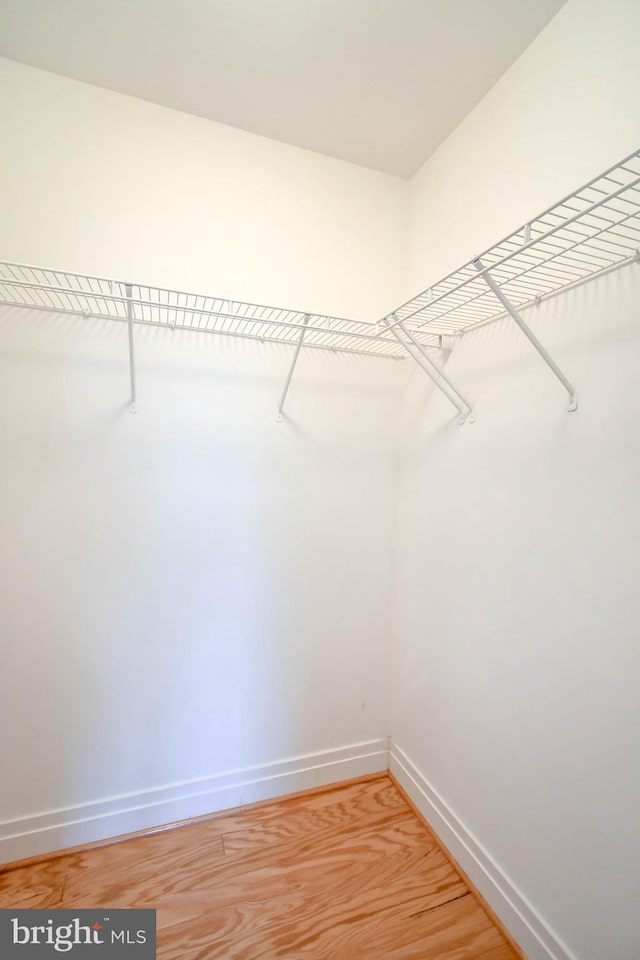 4490 Market Commons Dr Unit 302, Fairfax, VA 22033 - walk in closet with light wood-style flooring