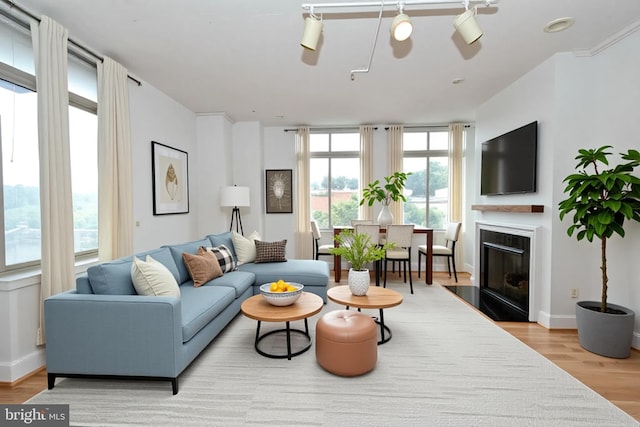 4490 Market Commons Dr Unit 302, Fairfax, VA 22033 - living area featuring wood finished floors and a high end fireplace