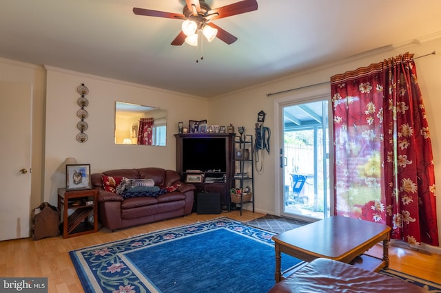 419 S Wyomissing Ave, Reading, PA 19607 - living area with wood finished floors, a ceiling fan, and crown molding