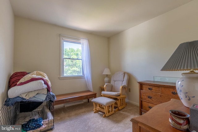 419 S Wyomissing Ave, Reading, PA 19607 - living area with baseboard heating and carpet