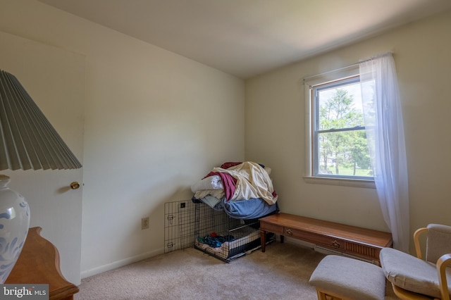 419 S Wyomissing Ave, Reading, PA 19607 - living area featuring carpet