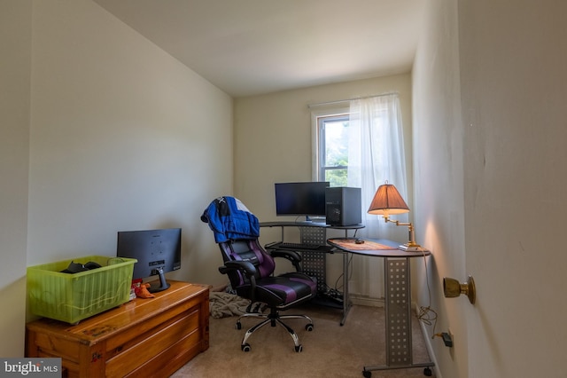 419 S Wyomissing Ave, Reading, PA 19607 - home office featuring carpet flooring