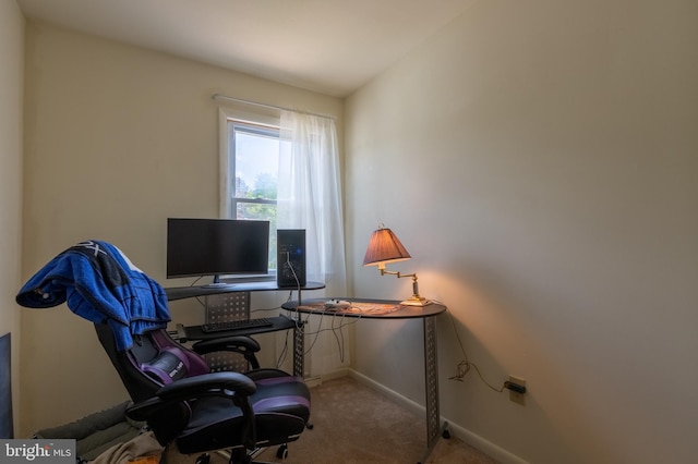 419 S Wyomissing Ave, Reading, PA 19607 - carpeted office featuring baseboards