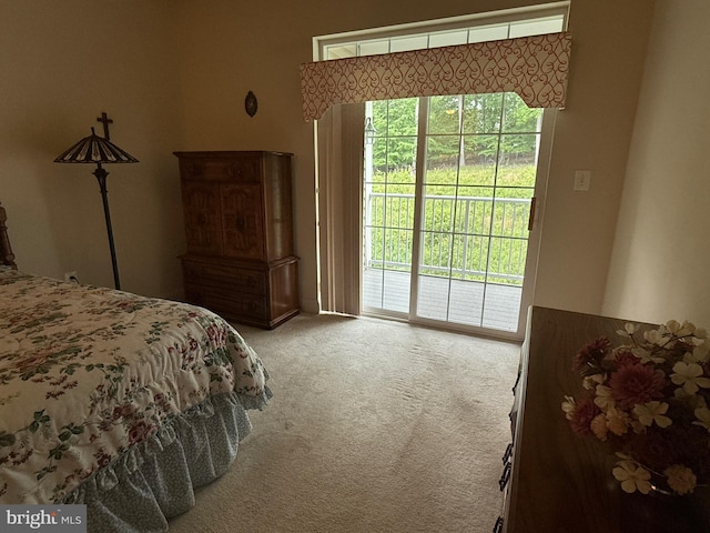 902 Macphail Woods Xing Unit 4F, Bel Air, MD 21015 - carpeted bedroom with access to outside and multiple windows