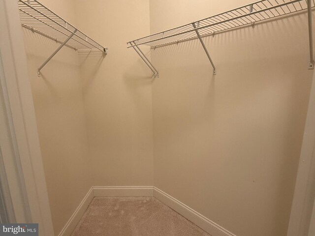 902 Macphail Woods Xing Unit 4F, Bel Air, MD 21015 - spacious closet with carpet flooring