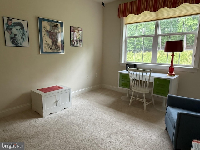 902 Macphail Woods Xing Unit 4F, Bel Air, MD 21015 - office space with carpet floors and baseboards