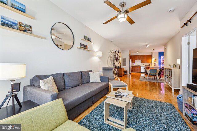 8005 13th St Unit 411, Silver Spring, MD 20910 - living room featuring light wood-style flooring and ceiling fan