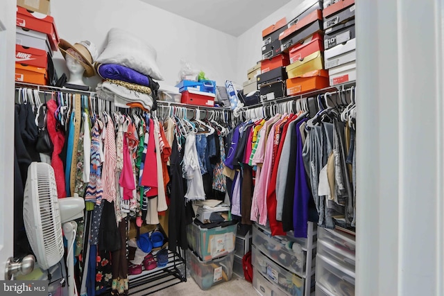 13136 Dowdens Station Way, Clarksburg, MD 20871 - walk in closet with carpet