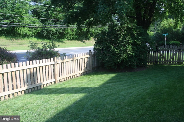 2404 Blue Valley Dr, Silver Spring, MD 20904 - view of yard