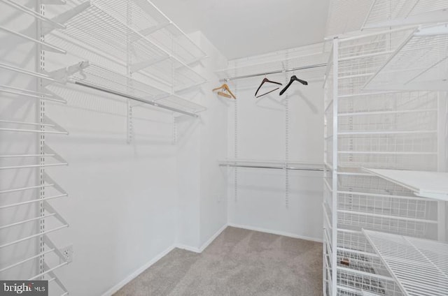 2404 Blue Valley Dr, Silver Spring, MD 20904 - spacious closet with carpet flooring
