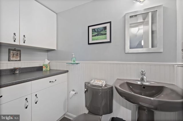 2404 Blue Valley Dr, Silver Spring, MD 20904 - bathroom with a wainscoted wall, toilet, and a sink