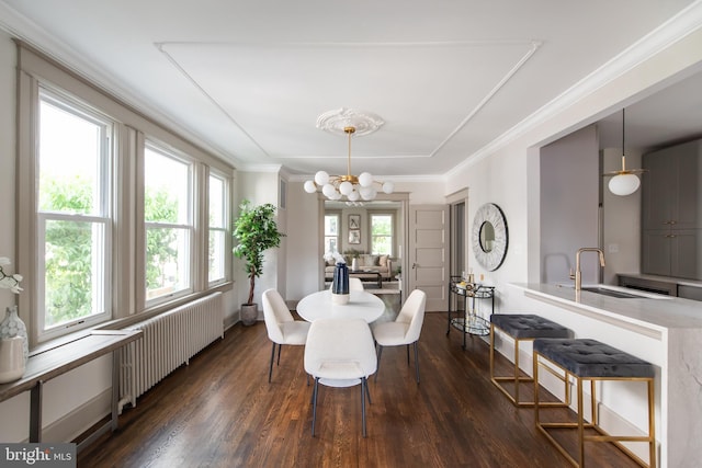 110 Varnum St NW, Washington, DC 20011 - dining room with radiator, a chandelier, dark wood-style floors, and crown molding