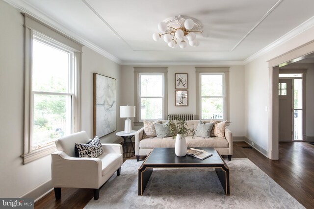 110 Varnum St NW, Washington, DC 20011 - living room with a chandelier, plenty of natural light, radiator, baseboards, and crown molding