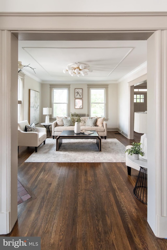 110 Varnum St NW, Washington, DC 20011 - living area with dark wood-type flooring, crown molding, plenty of natural light, and baseboards