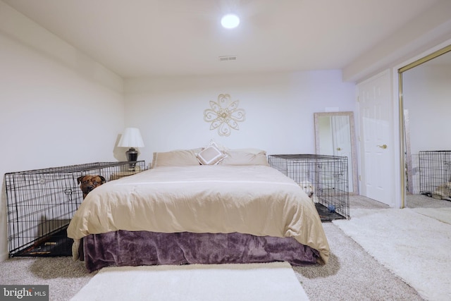 17455 Kagera Dr, Dumfries, VA 22025 - view of carpeted bedroom