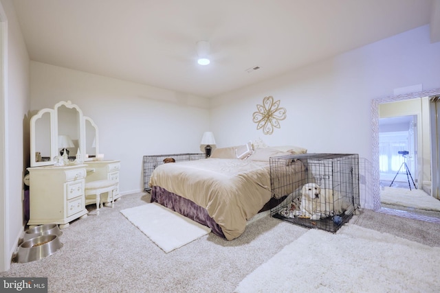 17455 Kagera Dr, Dumfries, VA 22025 - view of carpeted bedroom