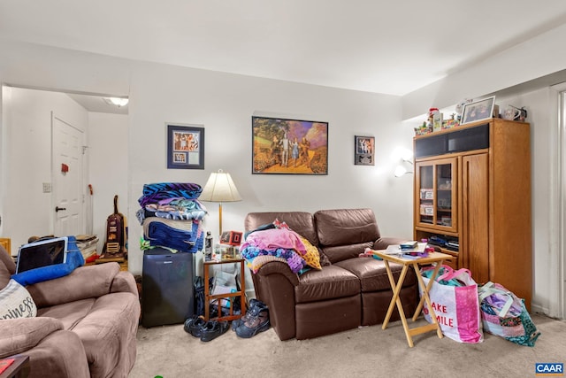 13 Tobacco Ter, Palmyra, VA 22963 - view of carpeted living area