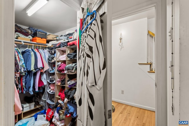 13 Tobacco Ter, Palmyra, VA 22963 - spacious closet with wood finished floors