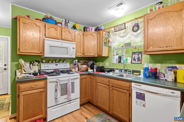 13 Tobacco Ter, Palmyra, VA 22963 - kitchen with white appliances, a sink, and light wood-style floors