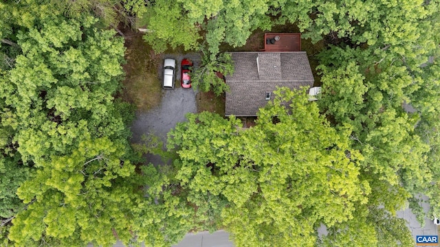 13 Tobacco Ter, Palmyra, VA 22963 - view from above of property